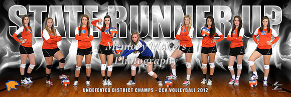 Volleyball 2012
